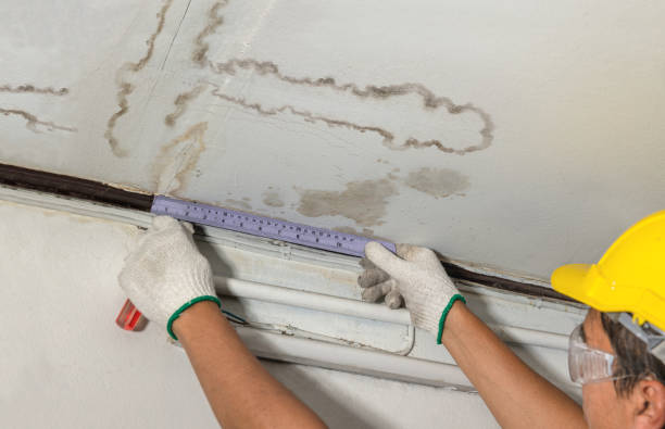 Reliable Burst Pipe Cleanup contractor in Paris, MI by Water Damage Irwin